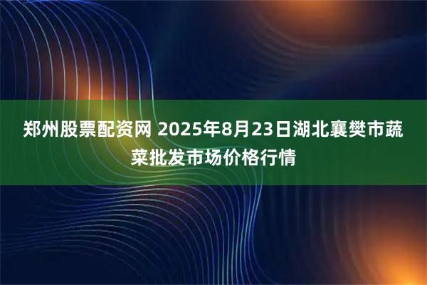 郑州股票配资网 2025年8月23日湖北襄樊市蔬菜批发市场价格行情