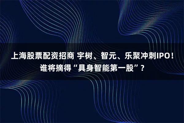 上海股票配资招商 宇树、智元、乐聚冲刺IPO！谁将摘得“具身智能第一股”？